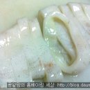 동그랑땡 반죽하나로 3가지 전만들기 이미지