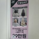 해봄붙임머리 이미지