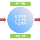 첨단인지학습센터 네이버블로그