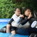 승가원자비복지타운자비마을 이미지