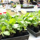 YOLO BEACH 이미지