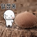 오키토키 이미지