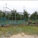 가평낚시터 이미지