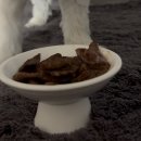 하파크리스틴 파르나스몰점(코엑스) | 12月