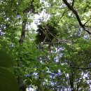 병호농장 이미지