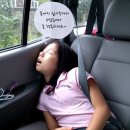 소백산 샬레펜션 이미지