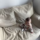 문득 그집 | 아이있는집 소파 고민 끝, 플래지어 빈백 후기 내돈내산 (+장단점)