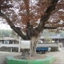 무수리마을회관 이미지