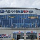 금강물물 | 강원도 여행 속초청호활어센터와 구리시장 원수산 대게 맛집