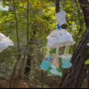 후평숲속유치원 이미지