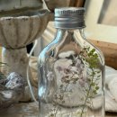 유성생명과학고등학교 | 유성생명과학고등학교 드라이플라워 디퓨져 MBTI 향수 단체 수업 후기 평택에서 대전까지 전국으로 진행...