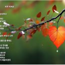 연서