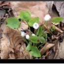 한림배수장 이미지