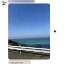 서초중앙로29길 28 (11) | 여기도 비눗방울!!