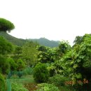 동선농장 이미지