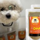 주식회사 미미펫 이미지