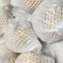 루니농장 이미지