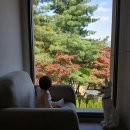 능서체육공원화장실 | 은평구 증산체육공원 아기랑 | 맨발걷기 놀이터 + 도서관까지 가능한 자연 산책 코스 (두돌 아기 발달...