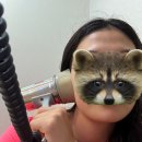 온산행복이비인후과의원 이미지