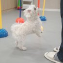 옐레드 문래역점 이미지