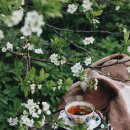 정원하우스 이미지