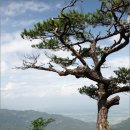 청계동계곡 이미지