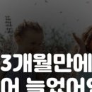 로즈앤영어