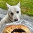 신세계가든 이미지