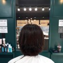 에비뉴헤어 이미지