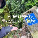 도밍고 데 라칼사다 ablergue cofradia del santo bar jacobeo공립알베르게후기 [나홀로 산티아고 순례길]