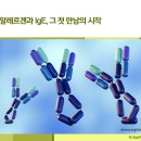 동원내과의원 | 비염, 면역의 퍼즐을 풀다: 상기도 알레르기 반응의 이해