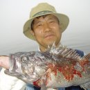 새나루쉼터 이미지