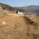 조현초등학교 이미지