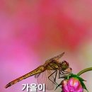 북한산 국립공원 ㅡ도봉산 지구 ㅡ 자운봉 신선대 정상ㅡ 다락능선 포대정상 y계곡 ㅡ 도봉구와 경기도 양주시ㅡ 의정부시의 접경지대에 이미지