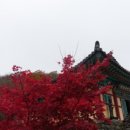무주읍116 네이버블로그