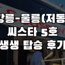 독도블루스 이미지