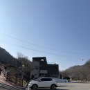 백운산 칠족령 | 정선 백운산 등산코스 칠족령 전망대 후기(최단코스 환종주코스)