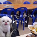 나연이네식당