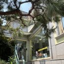 멋내는 애견 | 서울숲 카페 디저트 애견동반 가능한 성수 구욱희씨
