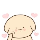 멍블랑 반려견미용실 이미지