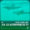 다이버마트 | 도쿄 시나가와아쿠아리움 위치 운영시간, 시나가와수족관 방문 후기