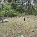 장춘당약국 이미지