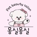 몽실몽실애견미용