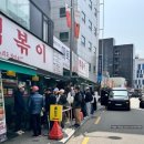 플루토시스템 이미지
