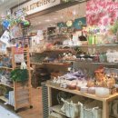 뷰티헬스잡화점 이미지