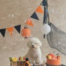 안경클럽레오 이미지