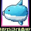 세계로법무사 이미지