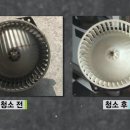 프로크리닝 이미지