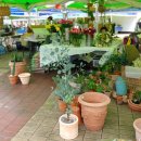 간절곶원예힐링하우스 이미지