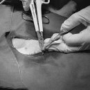 지경희동물병원 이미지